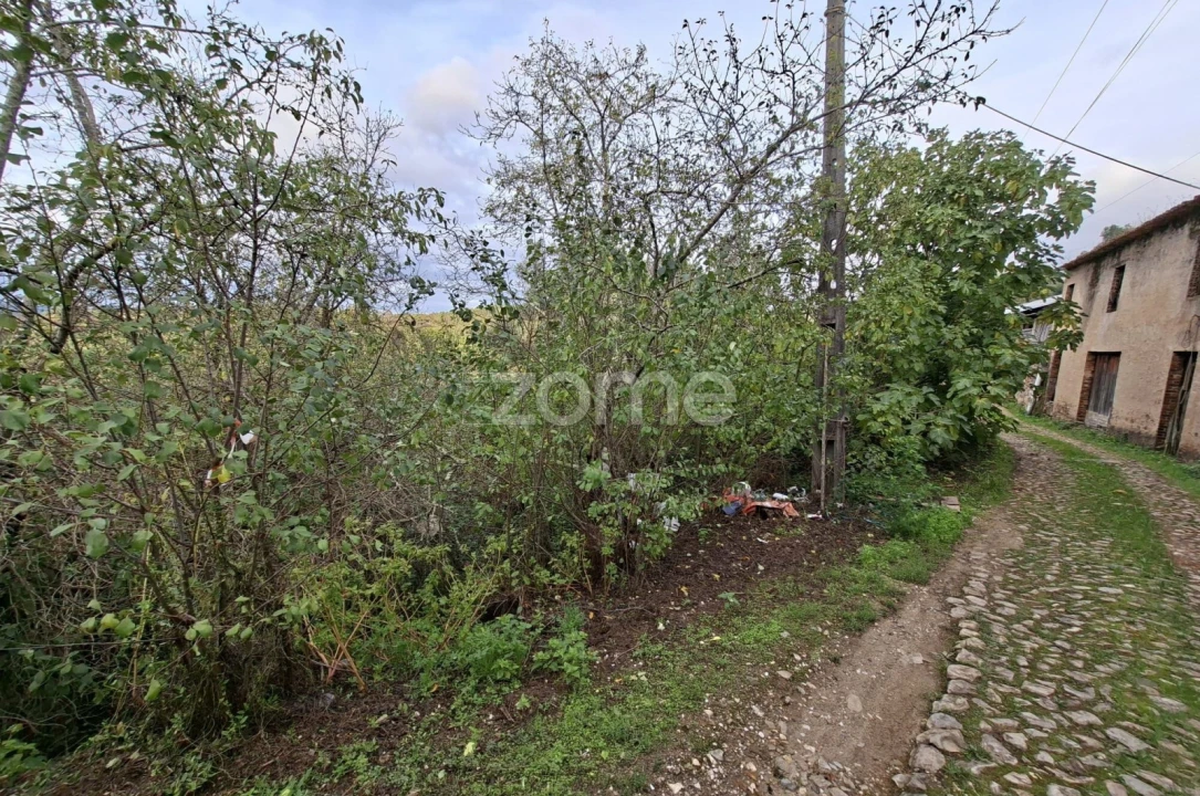 Moradia T4 para Venda em Arganil Foto 8