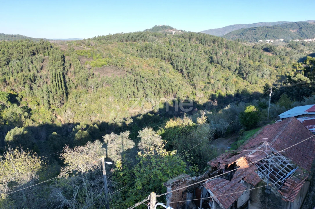 Moradia T1 para Venda em Arganil Foto 12