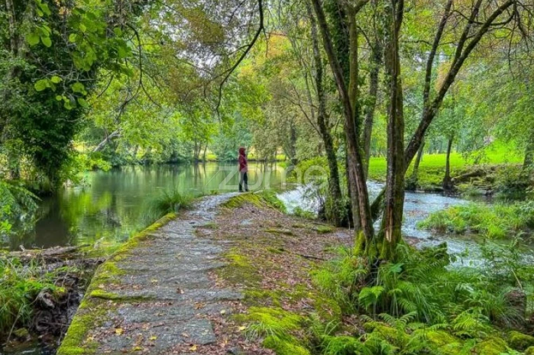 Moradia T4 para Venda em Paredes de Coura e Resende Foto 14