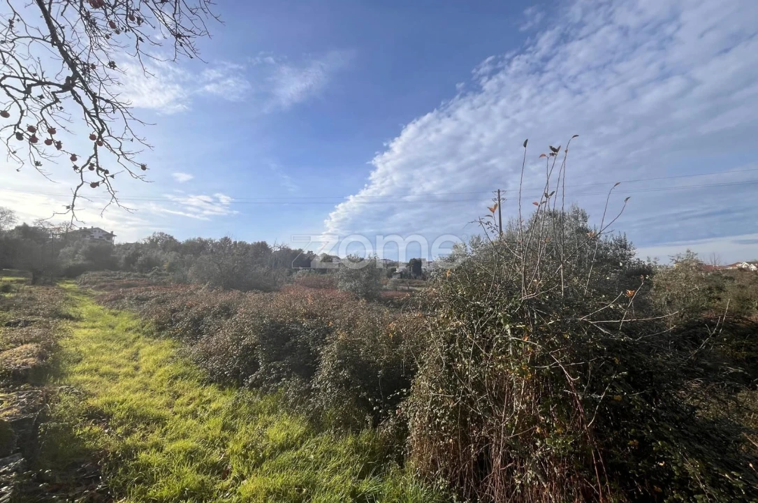 Terreno para Venda em Rio de Loba Foto 18
