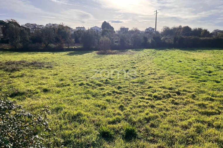 Terreno para Venda em Rio de Loba Foto 7