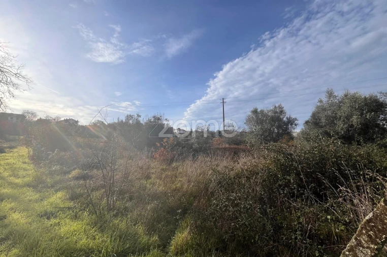Terreno para Venda em Rio de Loba Foto 16