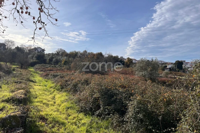 Terreno para Venda em Rio de Loba Foto 19