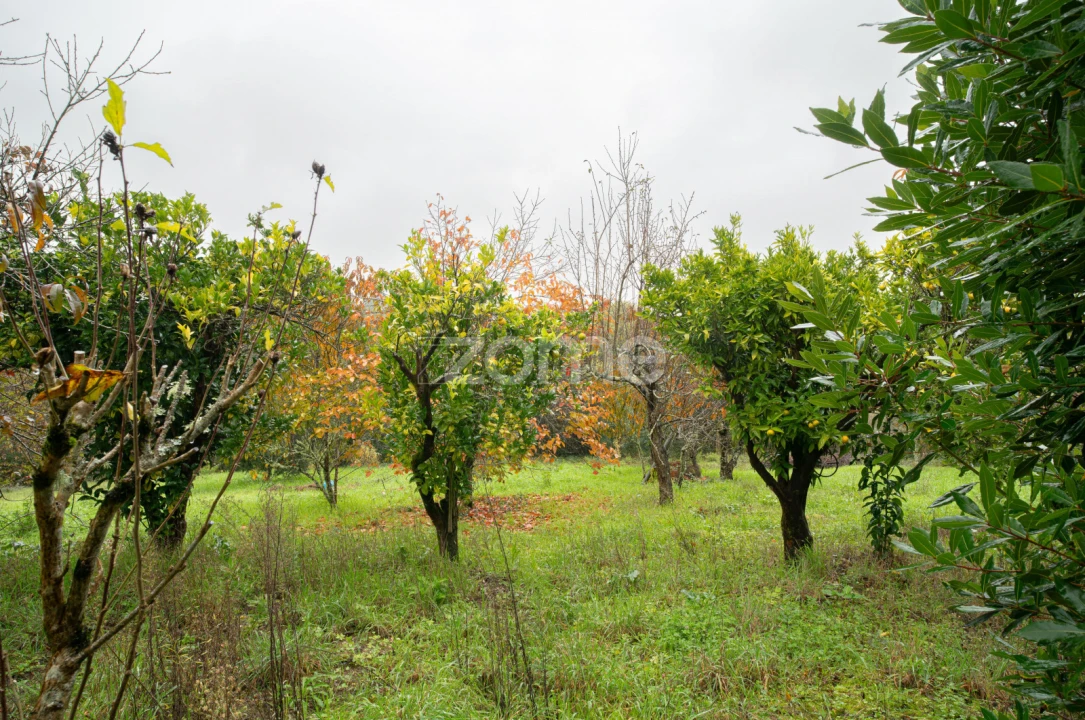 Moradia T2 para Venda em Leiria, Pousos, Barreira e Cortes Foto 19
