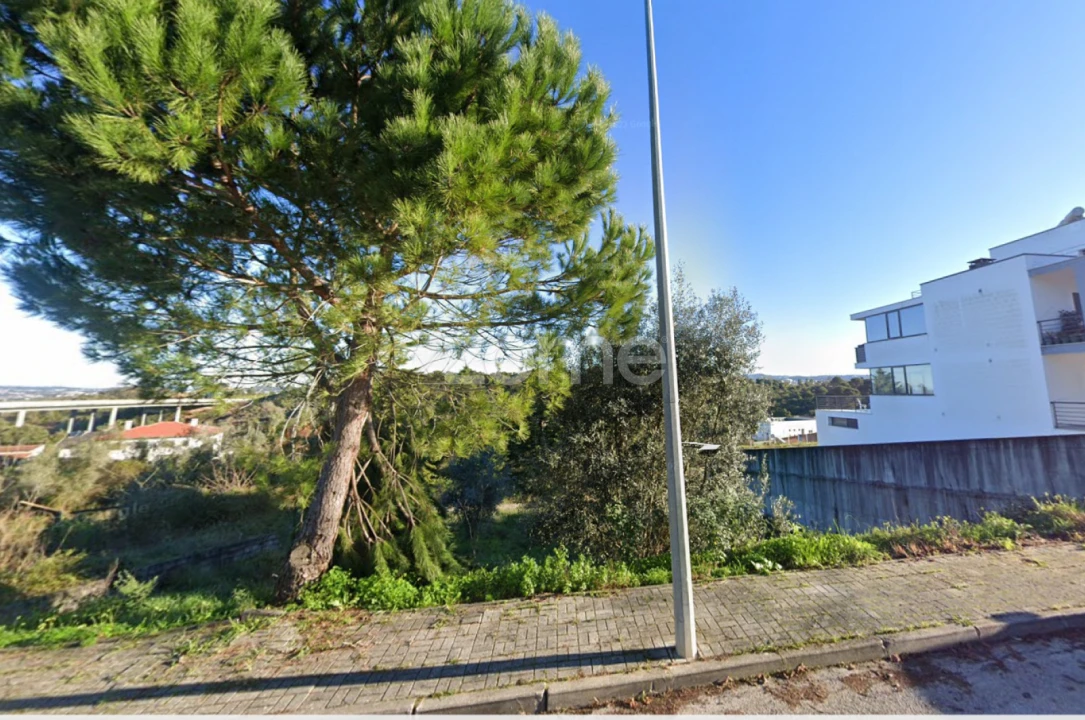 Terreno para Venda em Santa Clara e Castelo Viegas Foto 8