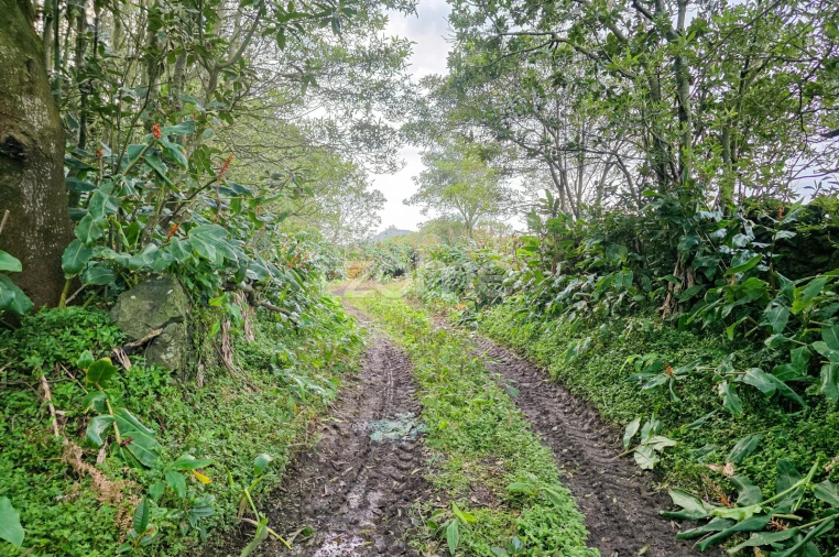 Terreno para Venda em Rabo de Peixe Foto 7