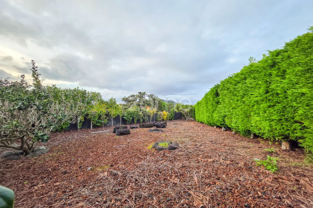 Moradia T5 para Venda em Candelaria Foto 36