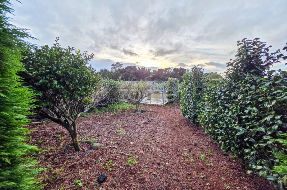 Moradia T5 para Venda em Candelaria Foto 35