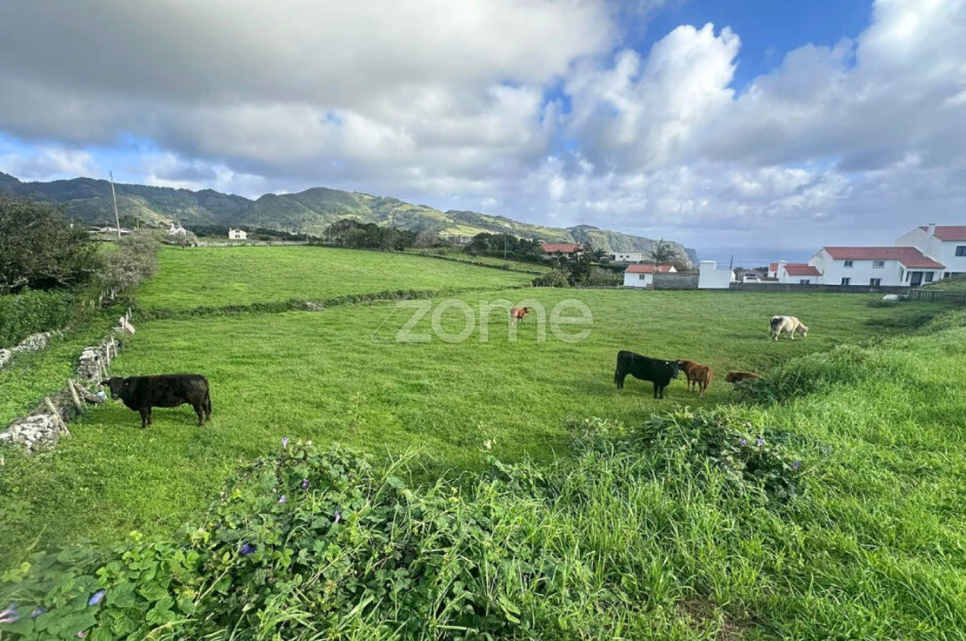 Terreno para Venda em Almagreira Foto 6