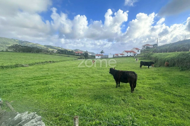 Terreno para Venda em Almagreira Foto 5
