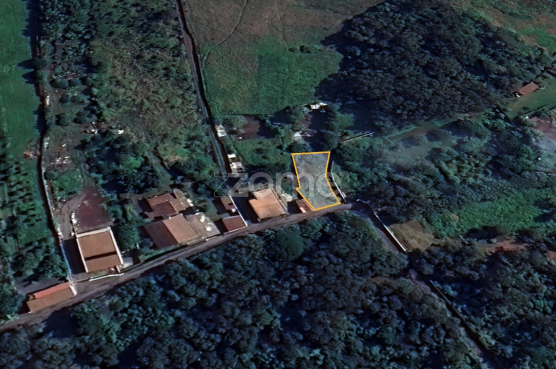 Terreno para Venda em Rosto do Cão (Livramento) Foto 5