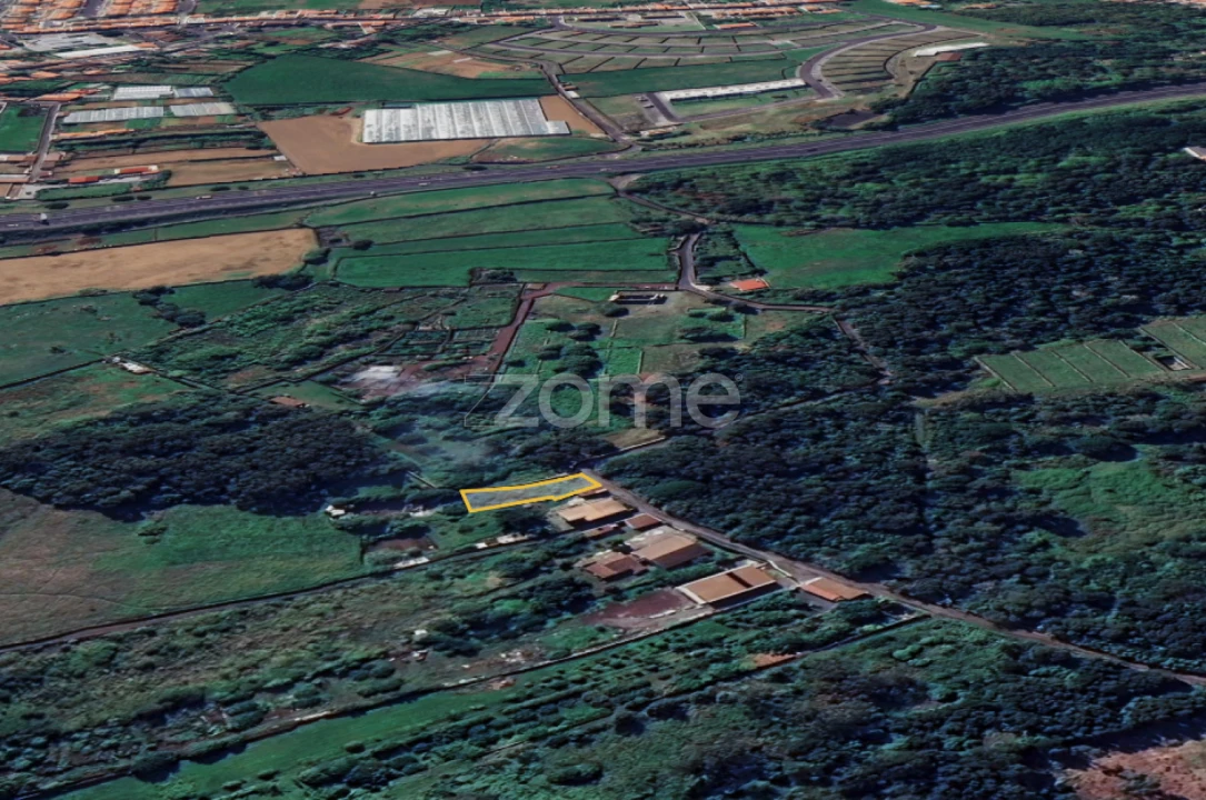 Terreno para Venda em Rosto do Cão (Livramento) Foto 7