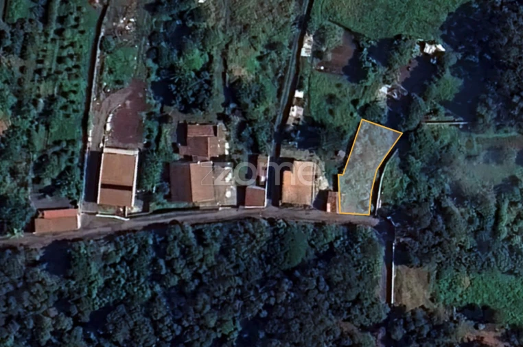 Terreno para Venda em Rosto do Cão (Livramento) Foto 4