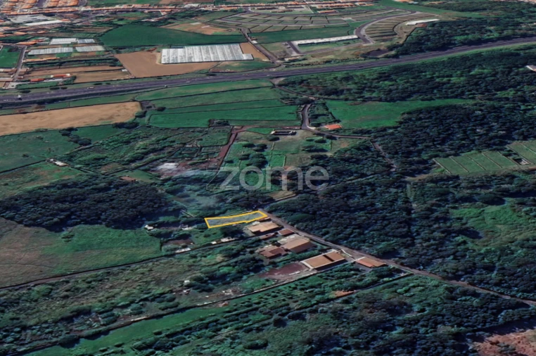 Terreno para Venda em Rosto do Cão (Livramento) Foto 7