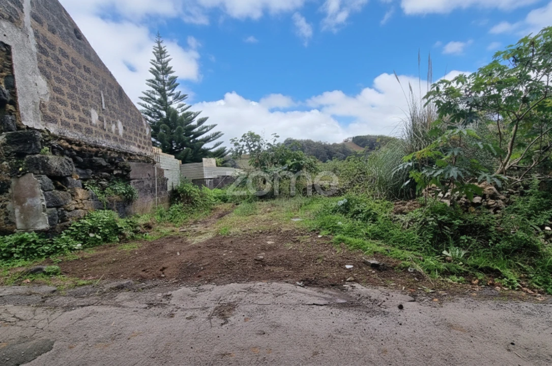 Terreno para Venda em Rosto do Cão (Livramento) Foto 3