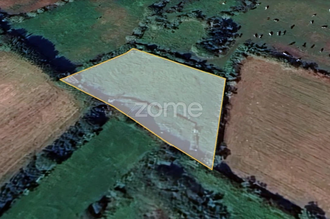 Terreno para Venda em Ribeira Grande (Conceição) Foto 13