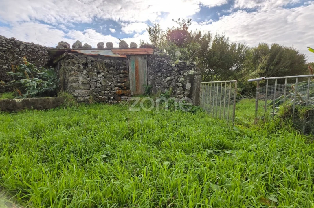 Terreno para Venda em Ribeira Grande (Conceição) Foto 5