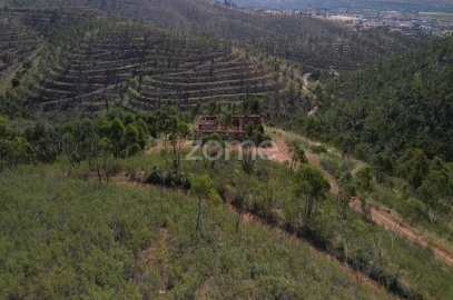 Moradia T1 para Venda em Silves