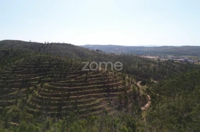 Moradia T1 para Venda em Silves