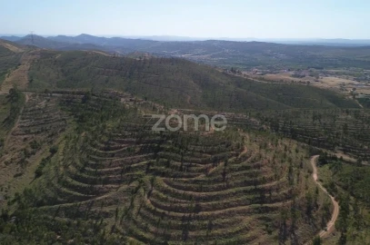 Moradia T1 para Venda em Silves