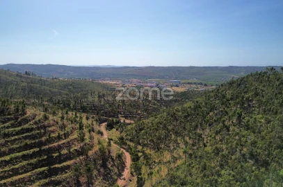 Moradia T1 para Venda em Silves
