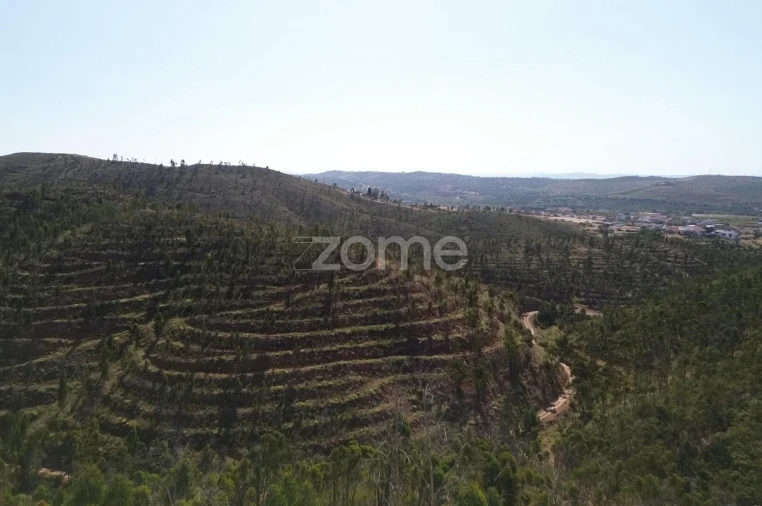 Moradia T1 para Venda em Silves Foto 14
