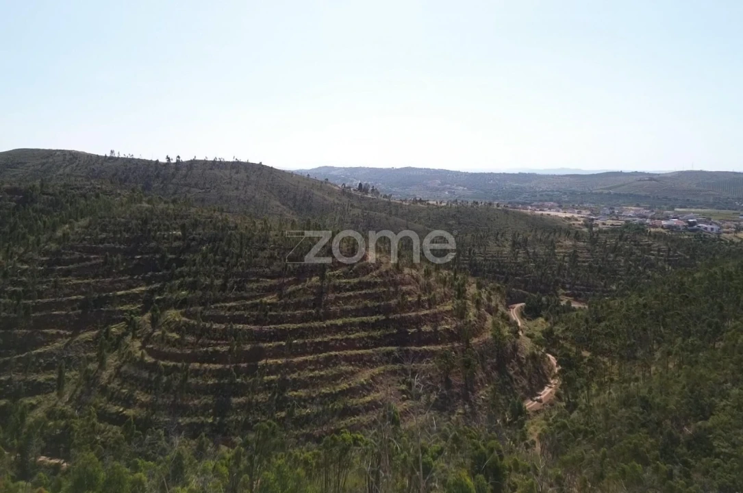 Moradia T1 para Venda em Silves Foto 14