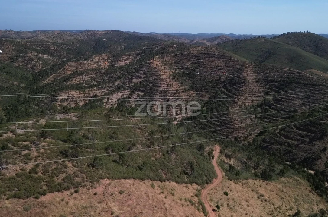 Moradia T1 para Venda em Silves Foto 9