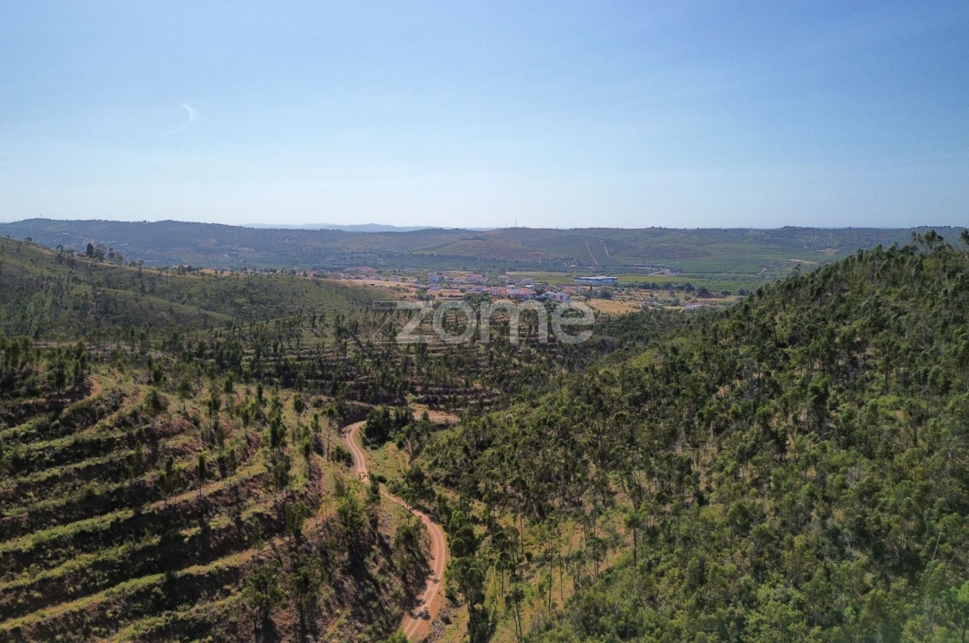 Moradia T1 para Venda em Silves Foto 1