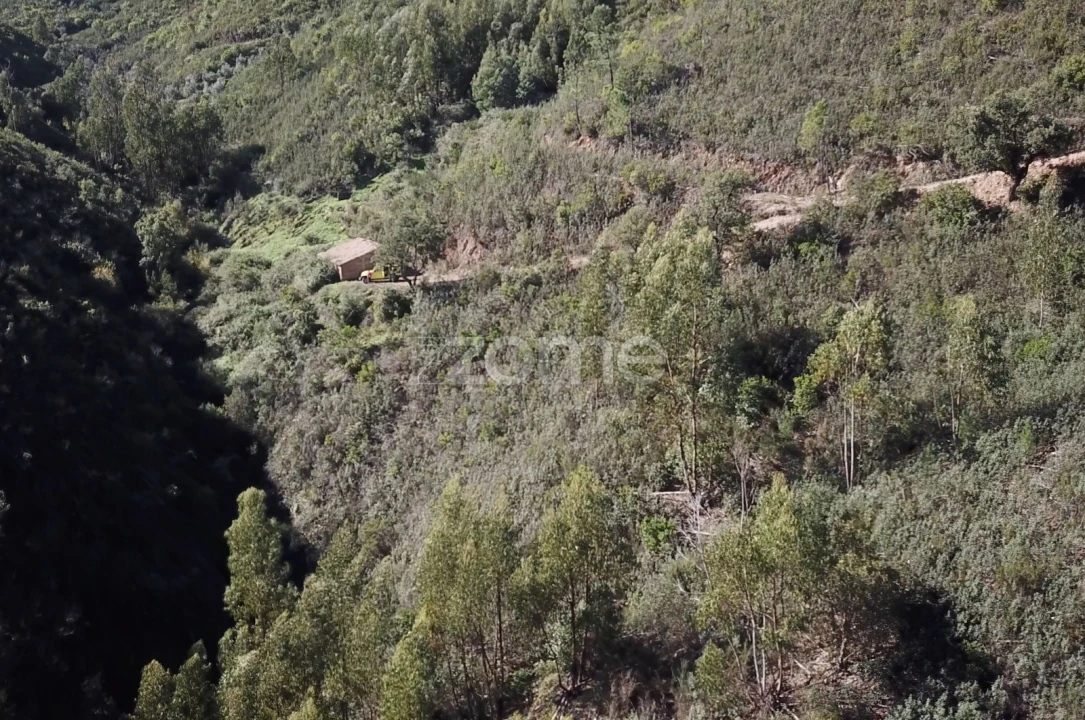 Terreno para Venda em Alferce Foto 12
