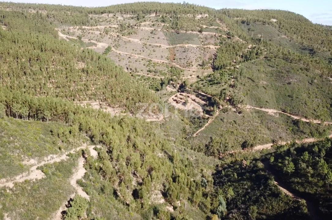 Terreno para Venda em Alferce Foto 11