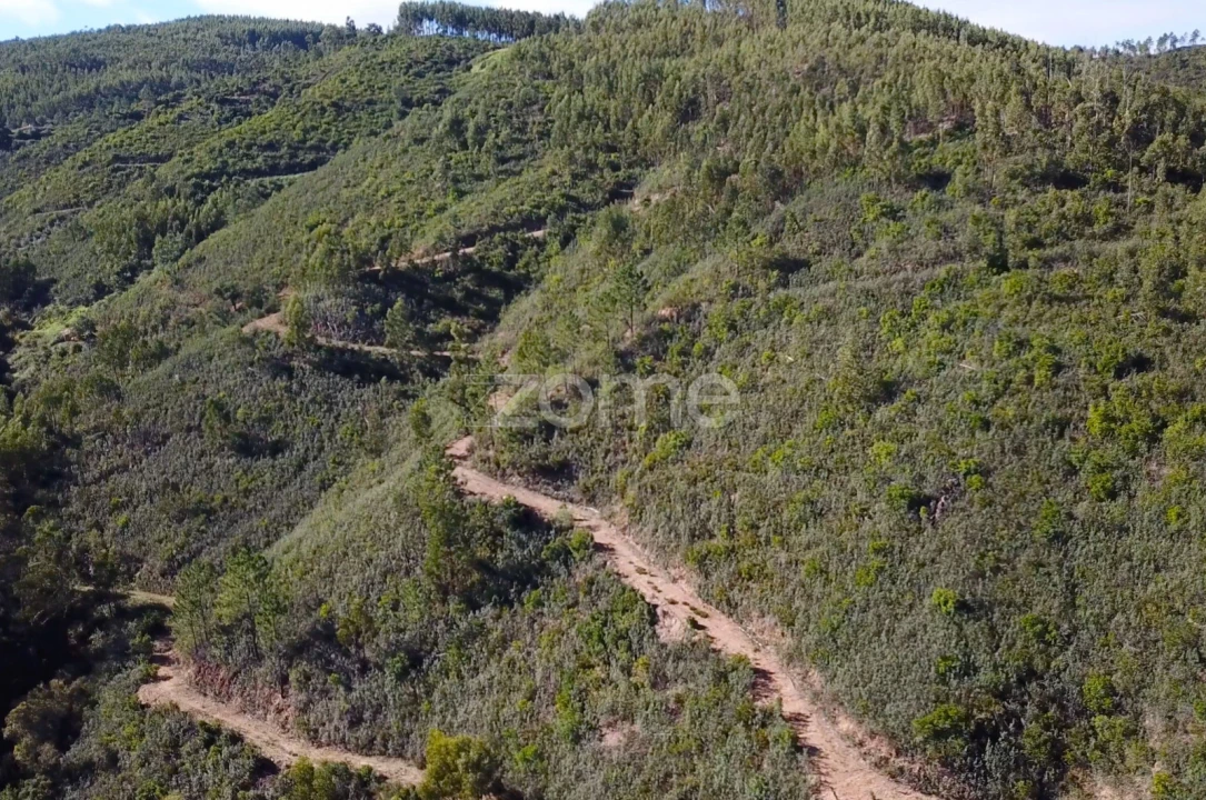 Terreno para Venda em Alferce Foto 9