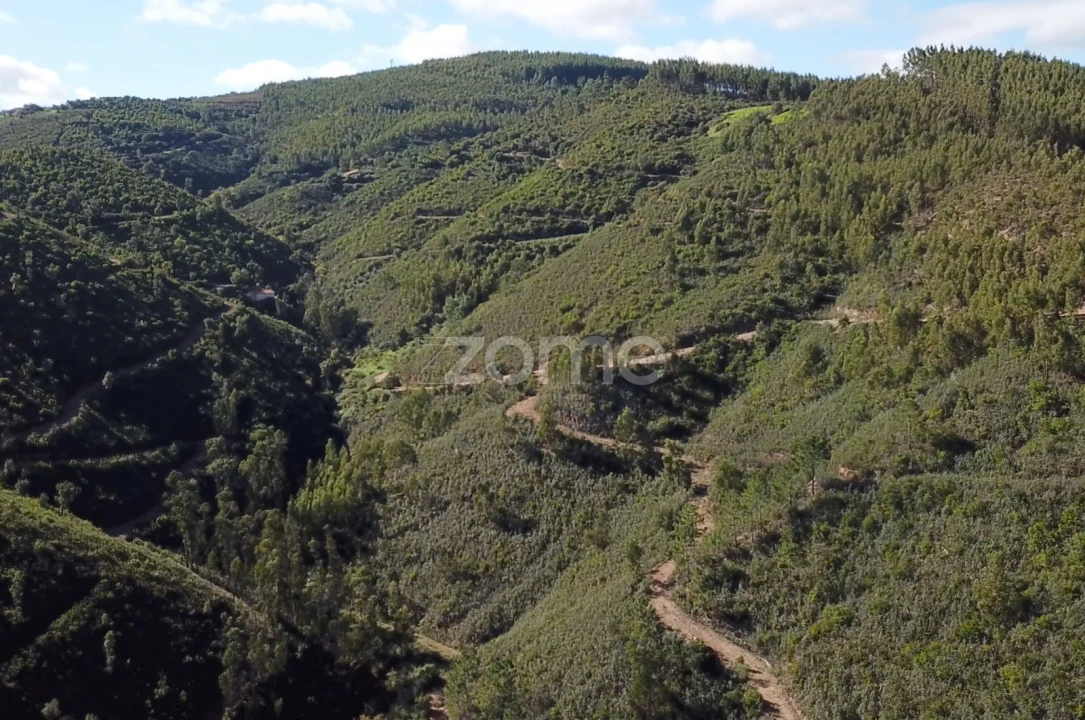Terreno para Venda em Alferce Foto 8