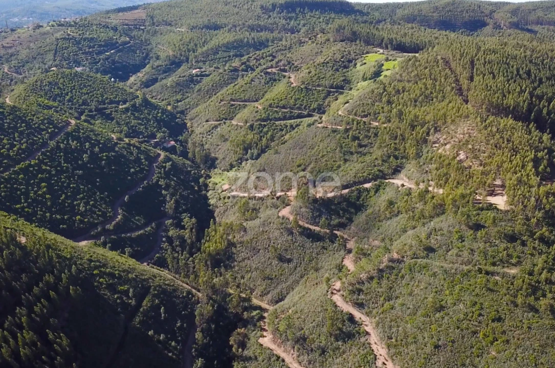 Terreno para Venda em Alferce Foto 7