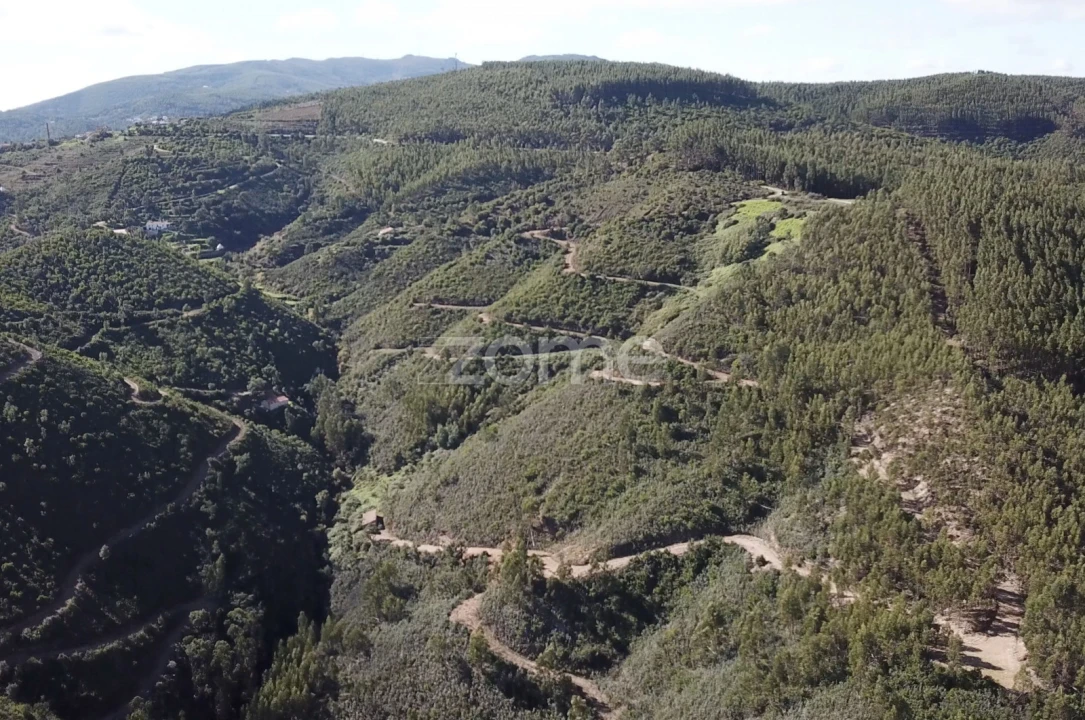 Terreno para Venda em Alferce Foto 1