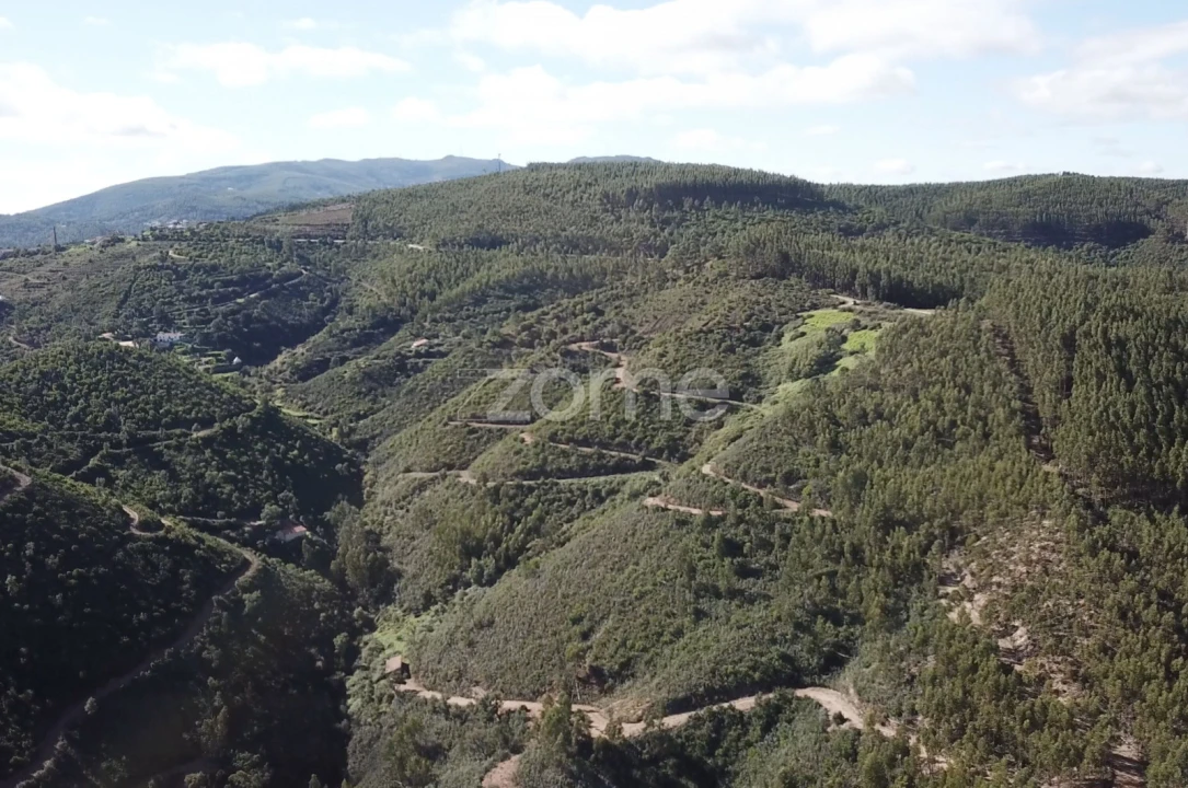 Terreno para Venda em Alferce Foto 6