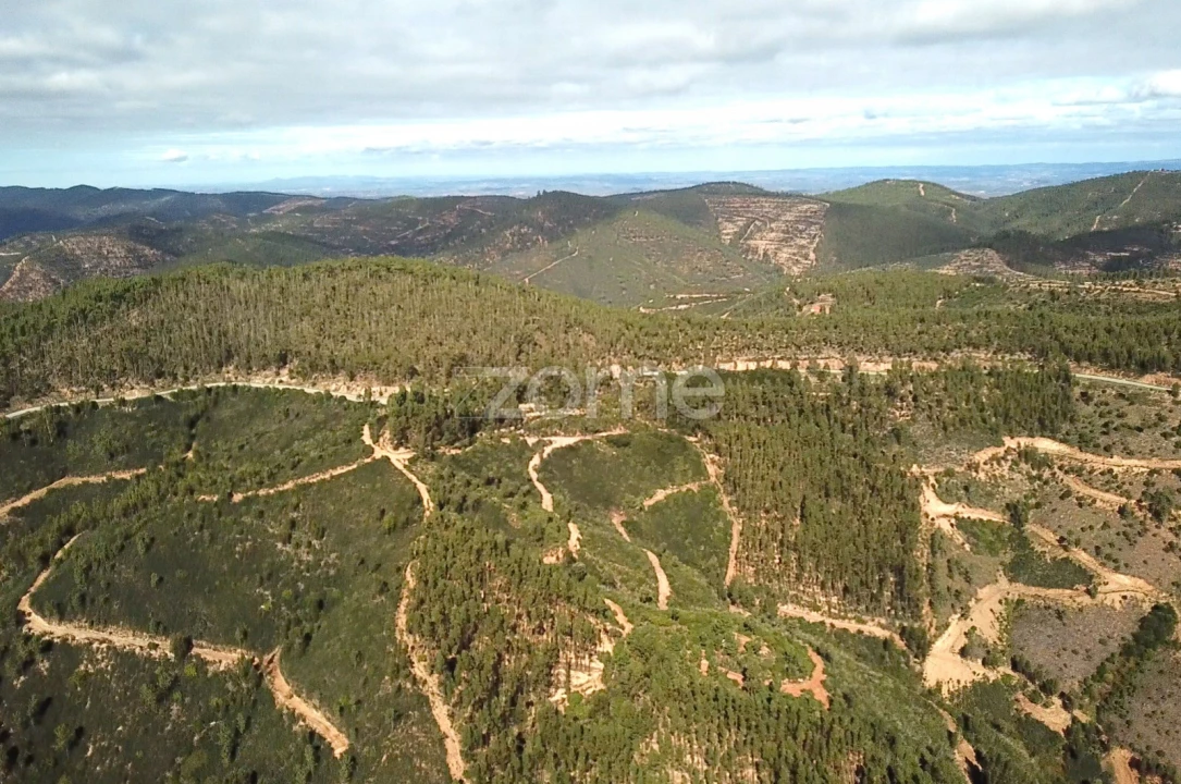 Terreno para Venda em Alferce Foto 15