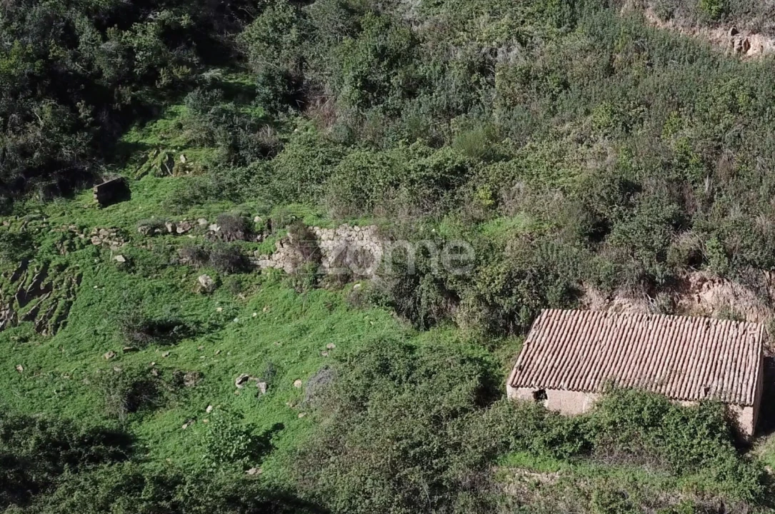 Terreno para Venda em Alferce Foto 2