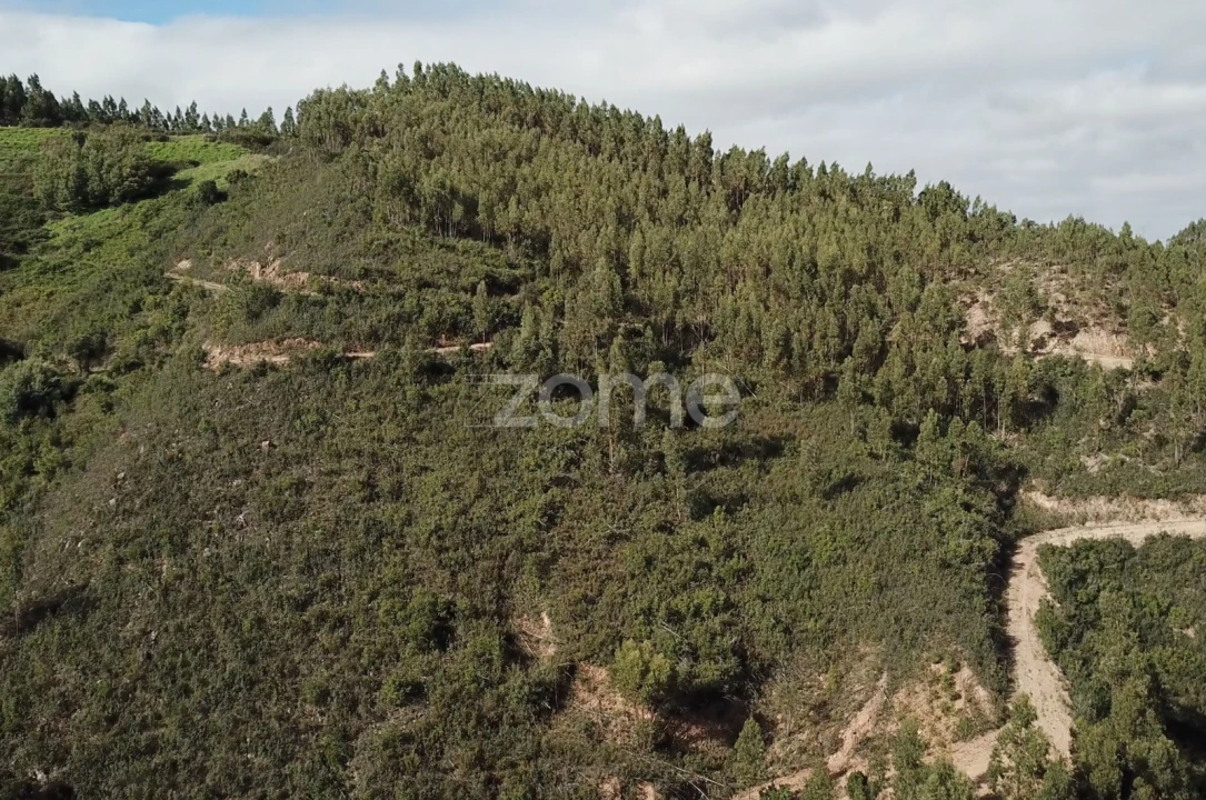 Terreno para Venda em Alferce Foto 5