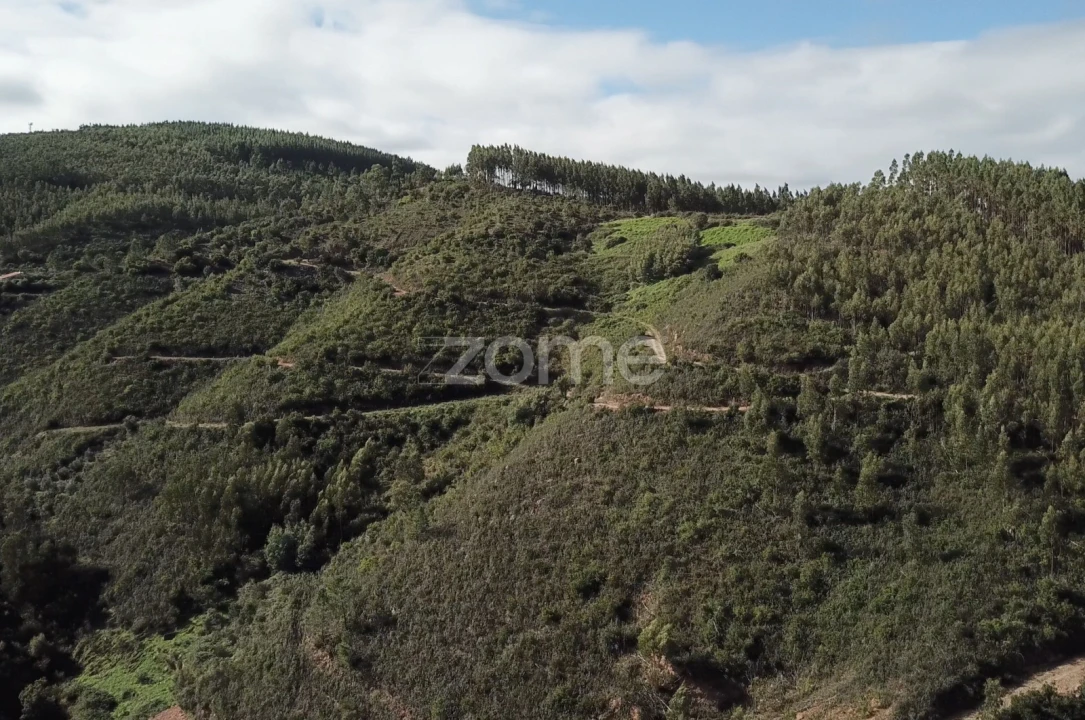 Terreno para Venda em Alferce Foto 4