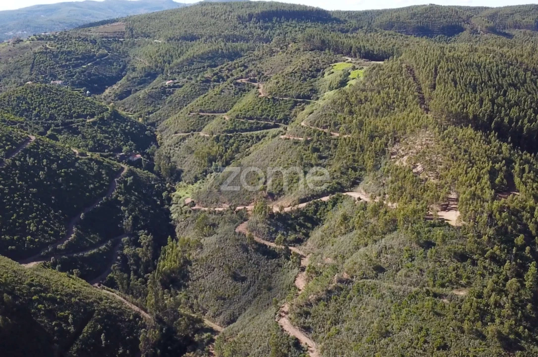 Terreno para Venda em Alferce Foto 14