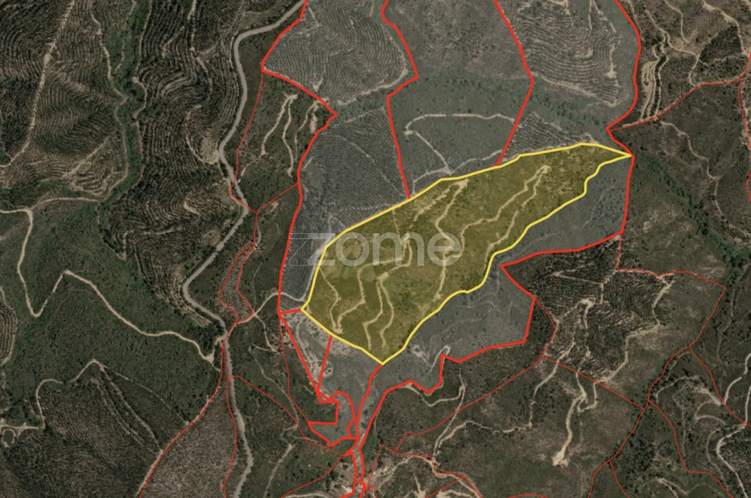 Terreno para Venda em Alferce Foto 3