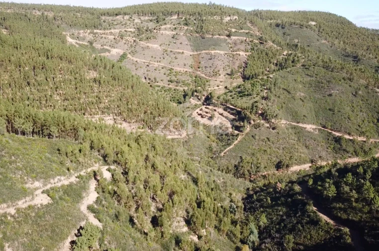 Terreno para Venda em Alferce Foto 11