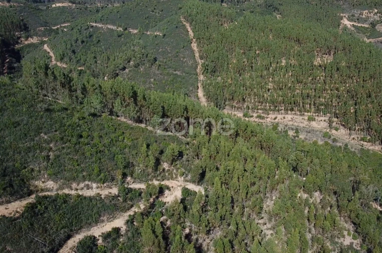 Terreno para Venda em Alferce Foto 10