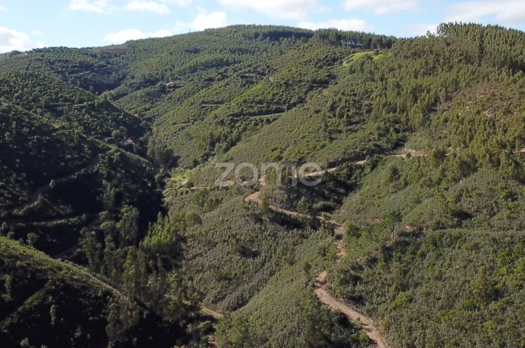 Terreno para Venda em Alferce Foto 8