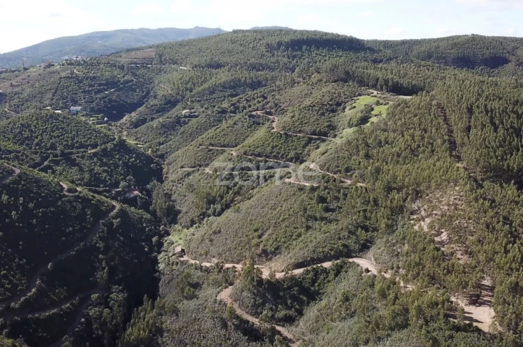 Terreno para Venda em Alferce