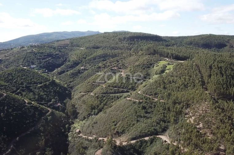 Terreno para Venda em Alferce Foto 6
