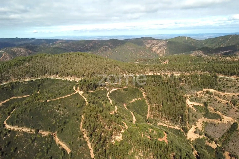 Terreno para Venda em Alferce Foto 15
