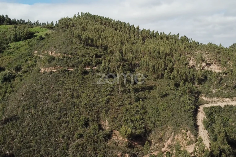 Terreno para Venda em Alferce Foto 5