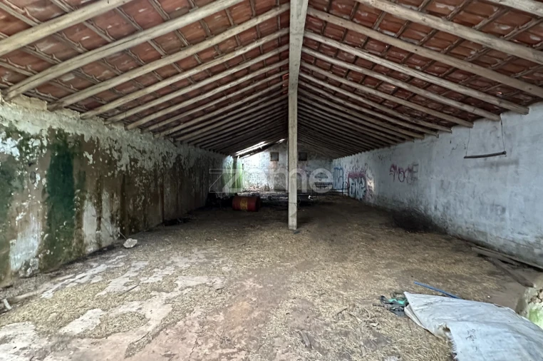 Terreno Comércio / Armazém para Venda em São Bartolomeu de Messines Foto 10